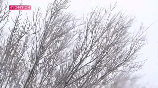 Погоду на юге Камчатки в эти выходные испортит беринговоморский циклон