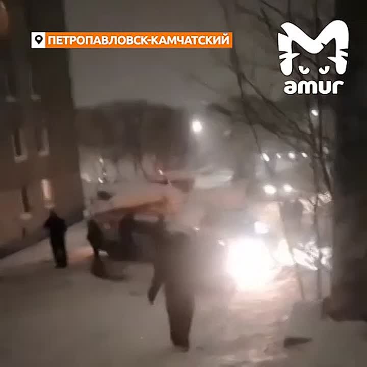 Массовое ДТП в исполнении таксистов-иностранцев — эпик подъехал из Петропавловска-Камчатского