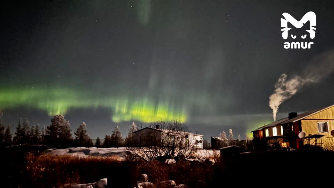 Волшебную красоту показывали сегодня в небе над Камчаткой — там раскинулось северное сияние Волшебную красоту показывали сегодня в небе над Камчаткой — там раскинулось северное сияние