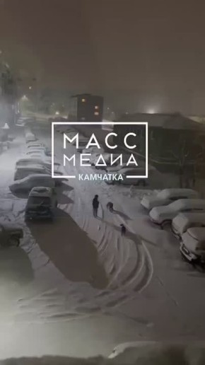 Воспитание поводком. Жители улицы Океанская, 83 не в первый раз наблюдают такую картину: мужчина, вместо того чтобы использовать поводок по назначению, бьет животное