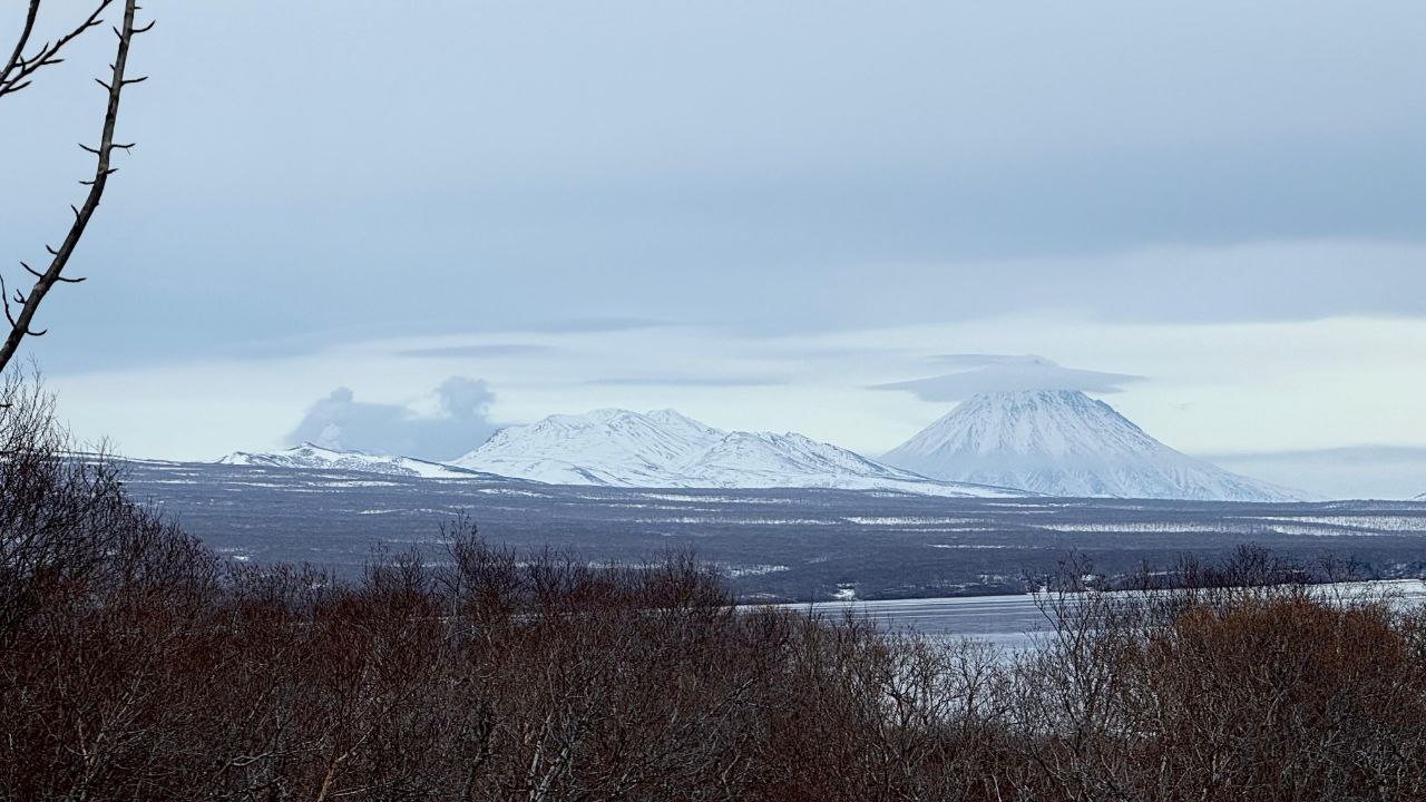 Лиана Варавская: после долгих лет соседства с медведями наблюдаю за тюленями Лиана Варавская: после долгих лет соседства с медведями наблюдаю за тюленями