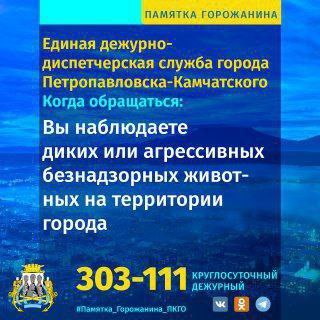 Единая дежурно-диспетчерская служба Петропавловска-Камчатского (ЕДДС) функционирует в круглосуточном режиме Единая дежурно-диспетчерская служба Петропавловска-Камчатского (ЕДДС) функционирует в круглосуточном режиме