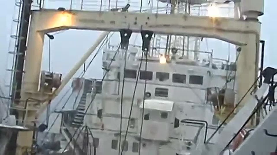    .      ( )        .   ,           ,     ...