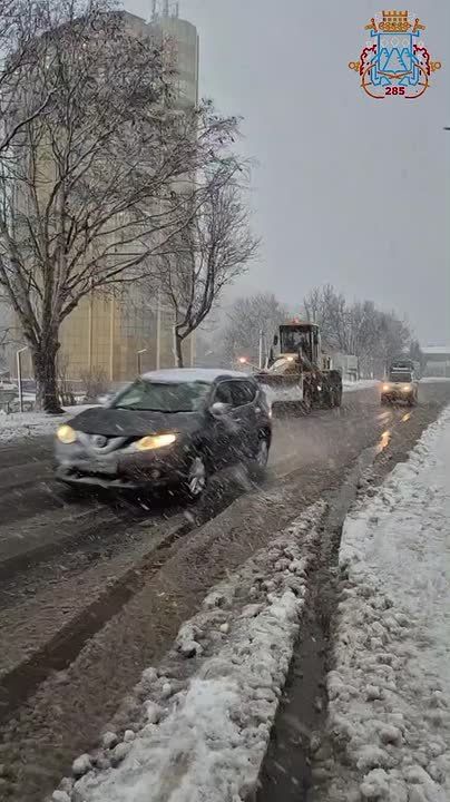 В условиях циклона работает тяжелая техника