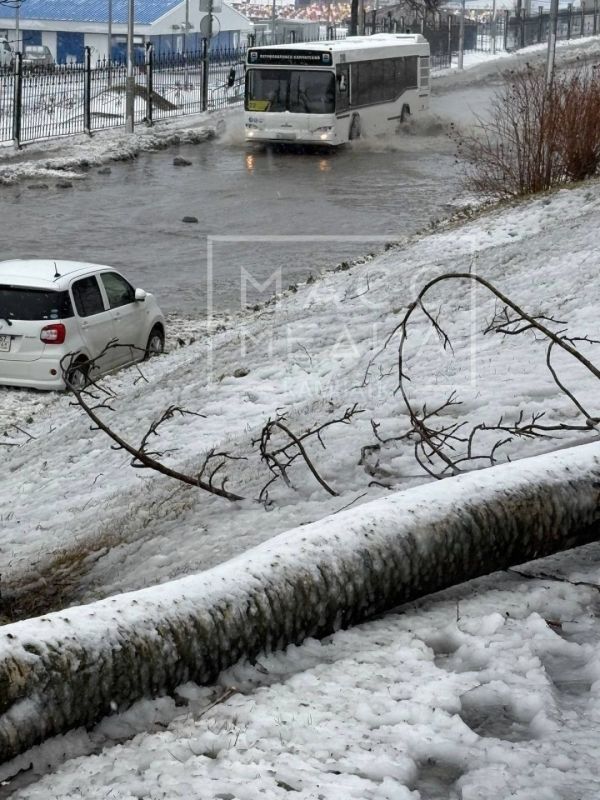 Стадион Спартак, со стороны улицы Ленинградская