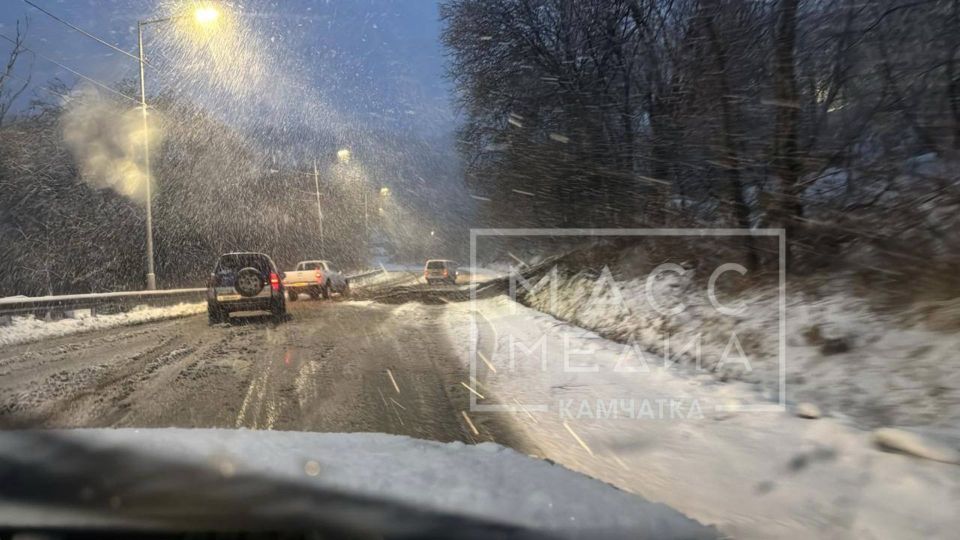 Дерево повалило прямо на дорогу