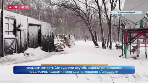 Охотоморский циклон, добравшись до Кроноцкого заповедника, принёс на заповедные территории снег с дождём и местами сильным ветром