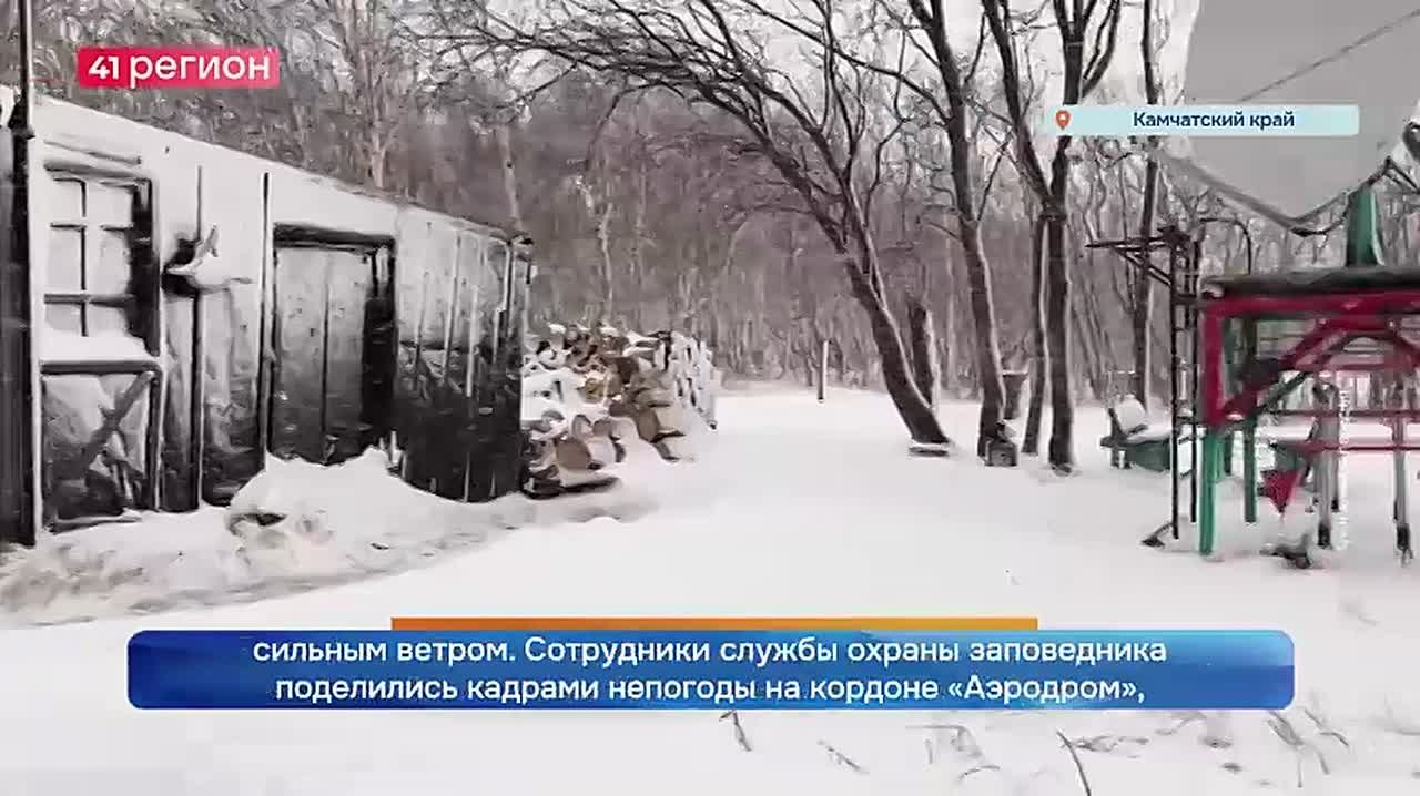 Охотоморский циклон, добравшись до Кроноцкого заповедника, принёс на заповедные территории снег с дождём и местами сильным ветром