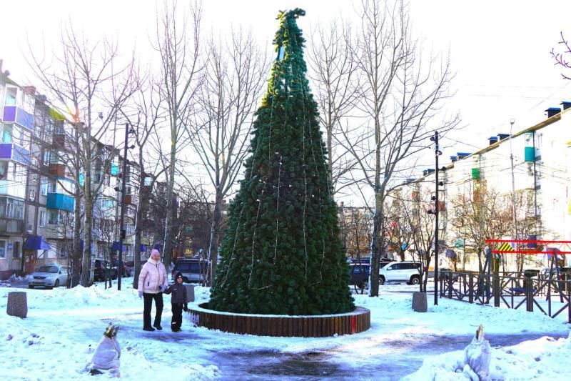 Новый год не за горами: в столице Камчатки начали устанавливать елки
