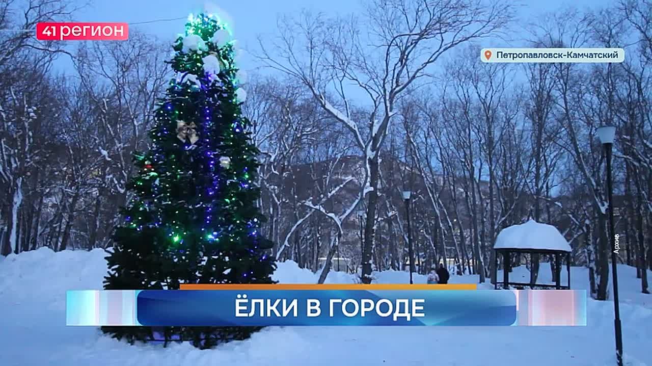 В краевой столице начался монтаж новогодних ёлок