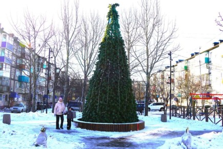 В ПетропавловскеКамчатском стартовала установка новогодних ёлок