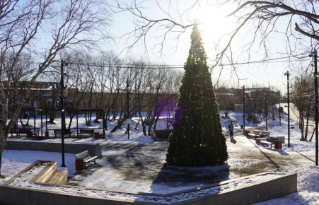 Новый год близко — в Петропавловске-Камчатском устанавливают ёлки