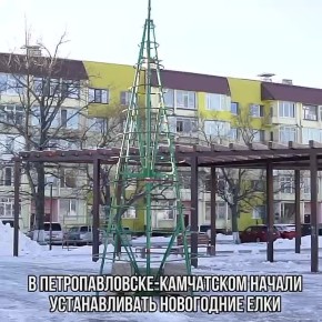 В Петропавловске-Камчатском начался монтаж новогодних ёлок, которые традиционно устанавливаются в парках и скверах