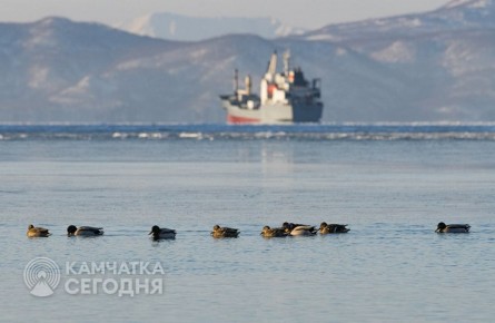 Камчатка продолжает работу по очистке Авачинской бухты