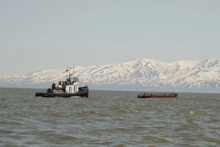 Правительство забраковало идею привязать рыбный бизнес к региону промысла