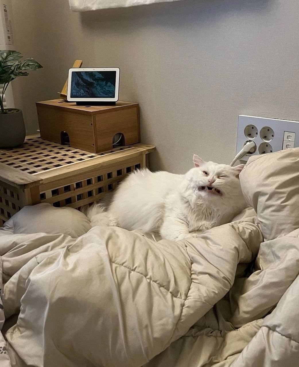 А утро точно доброе?