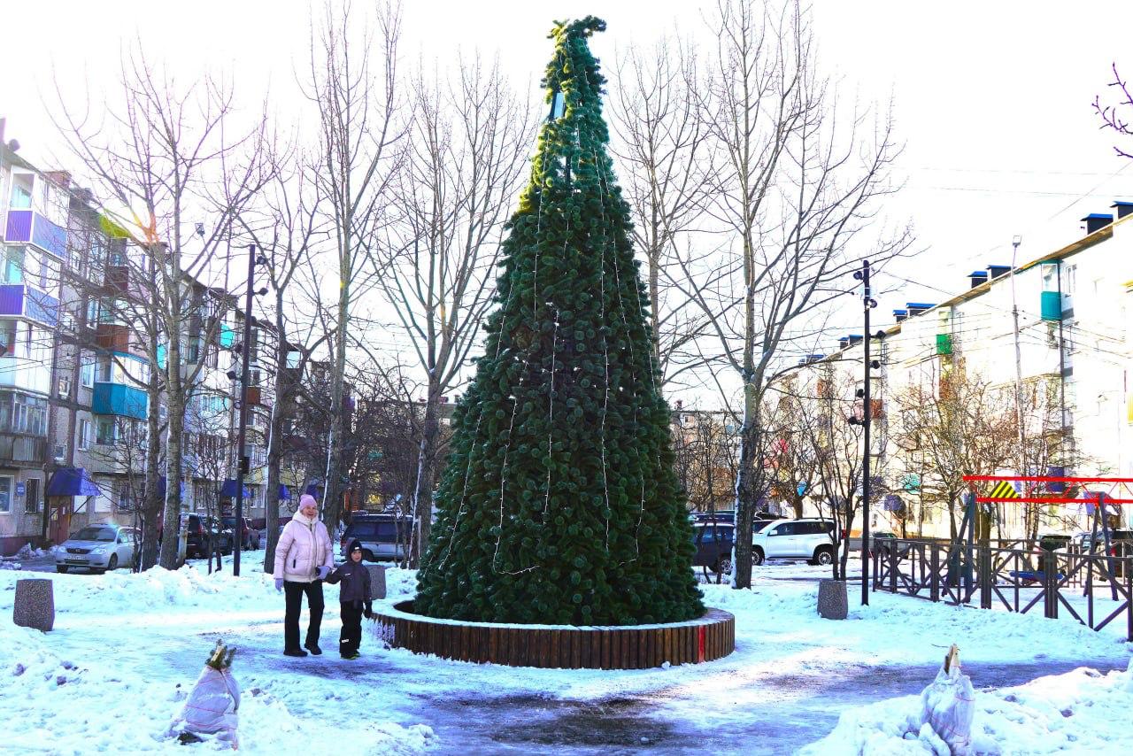 В ПетропавловскеКамчатском стартовала установка новогодних ёлок