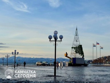 В центре Петропавловска-Камчатского начали устанавливать Ёлку!