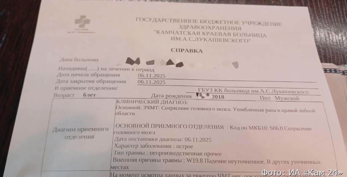 На Камчатке 6-летний ребенок упал в туалете и разбил голову На Камчатке 6-летний ребенок упал в туалете и разбил голову