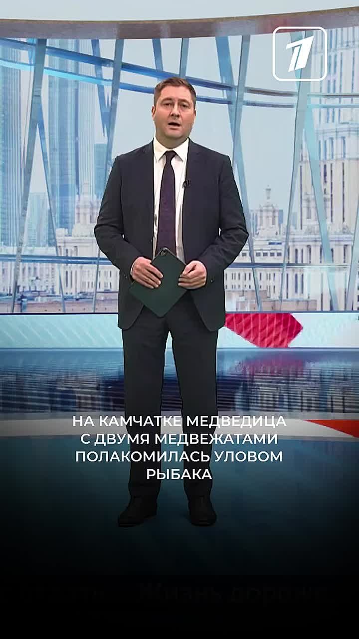 На Камчатке медведица с двумя медвежатами полакомилась уловом рыбака