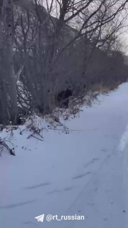 «Вот тут лежала моя рыба»