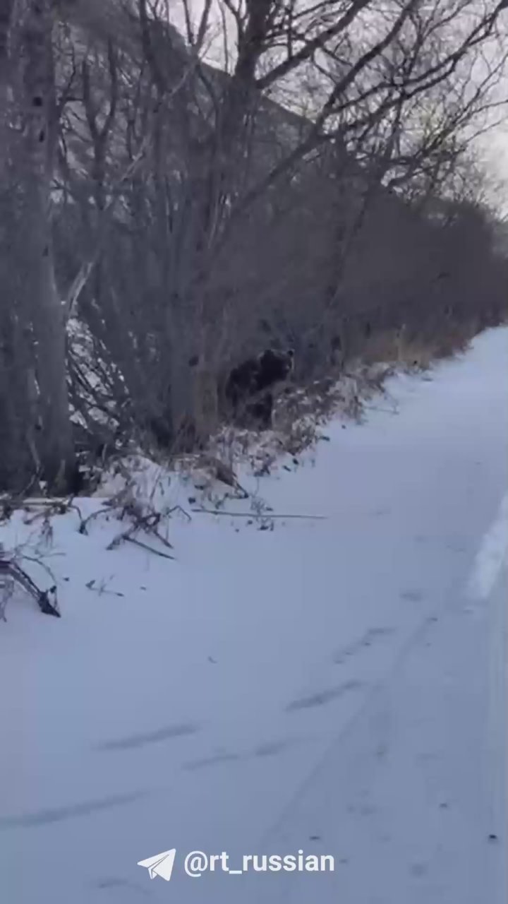 «Вот тут лежала моя рыба»