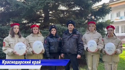 В память о тех, чьи жизни забрала дорога, сотрудники Госавтоинспекции с разных регионов России объединились и запустили Межрегиональный флешмоб ко Всемирному дню памяти жертв ДТП