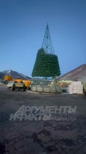 На главной площади Петропавловска продолжается установка новогодней елки