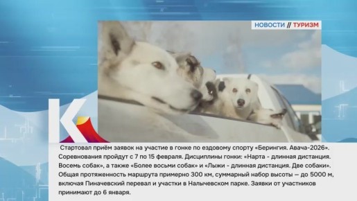 Камчатка|Новости туризма. Стартовал приём заявок на участие в гонке по ездовому спорту «Берингия. Авача-2026»