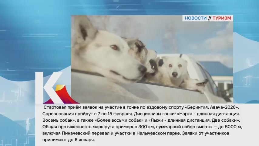 Камчатка|Новости туризма. Стартовал приём заявок на участие в гонке по ездовому спорту «Берингия. Авача-2026»