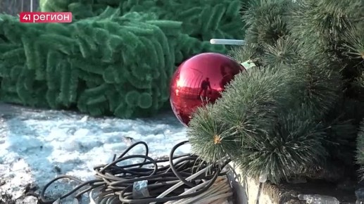 Новогоднюю ёлку начали устанавливать в центре Петропавловска • Без комментариев