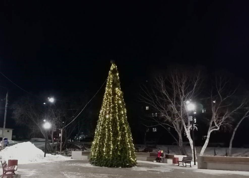 Петропавловск-Камчатский украшают к Новому году