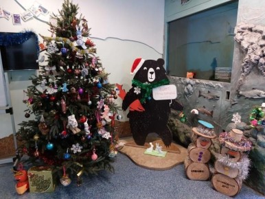 Стань помощником Деда Мороза: Кроноцкий заповедник объявил новогоднюю акцию