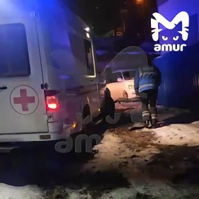 Бригада скорой САМА подсыпала себе дорогу, чтобы проехать к пациенту в Петропавловске-Камчатском