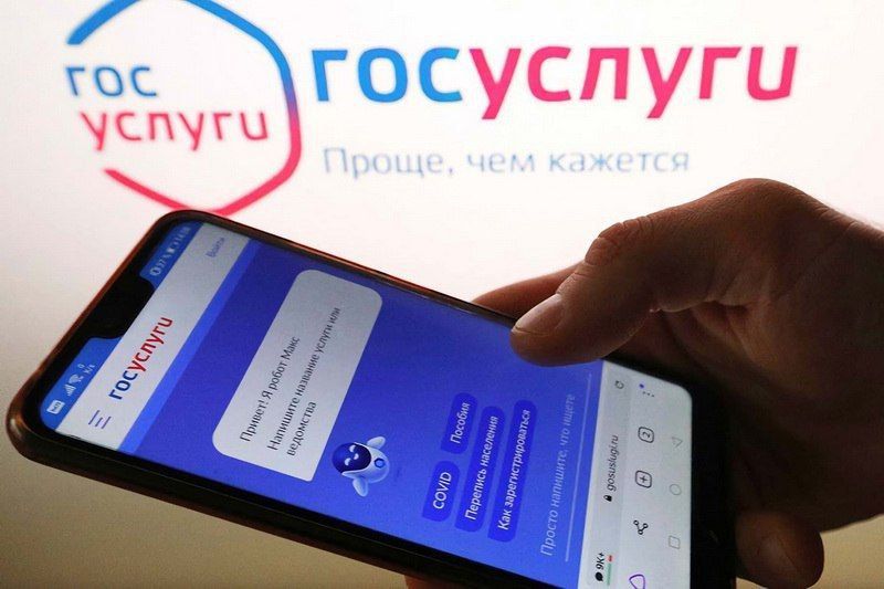 Робот Макс на портале Госуслуг поможет жителям Камчатки в получении региональных услуг