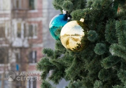 Огни, елки, Дед Мороз: в камчатской столице создадут новогоднее настроение