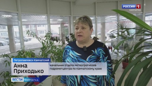 Сильный ветер, снег и гололедица