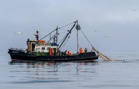 Михаил Мишустин дал поручения по итогам совещания Президента с членами Правительства о развитии рыбохозяйственного комплекса