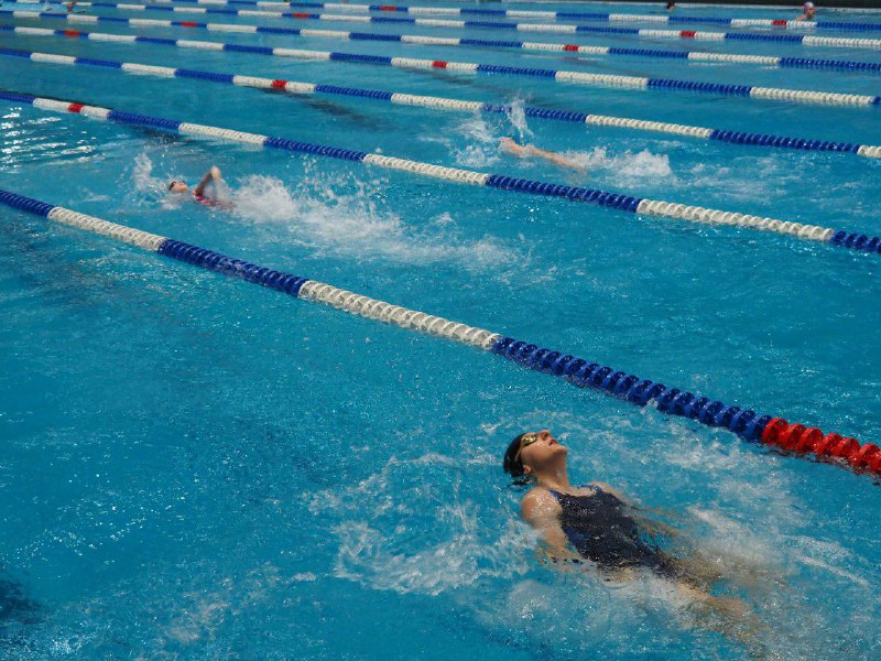 Соревнования по адаптивному плаванию завершились в краевой столице Соревнования по адаптивному плаванию завершились в краевой столице