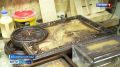 Столярное производство развивает в посёлке Усть-Камчатск мастер по дереву Фёдор Кириченко