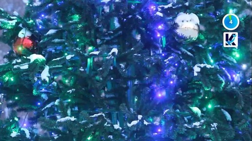 Узнать за 60 секунд. Новости полуострова: