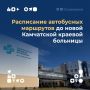 Губернатор Камчатки поручил улучшить транспортную доступность новой краевой больницы