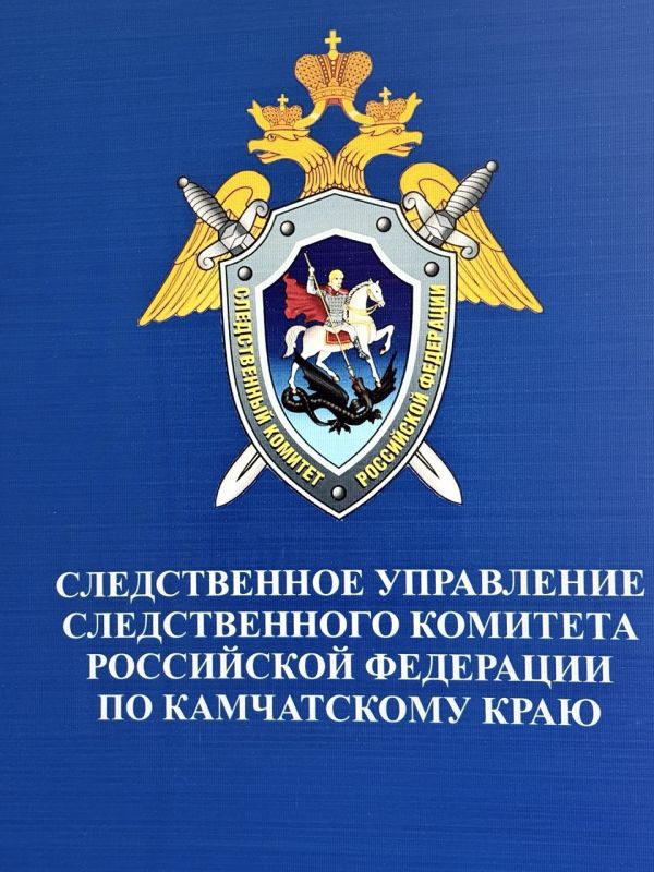 Следственное управления Следственного комитета Российской Федерации по Камчатскому краю призывает родителей усилить контроль за безопасностью несовершеннолетних во время их пребывания на улице