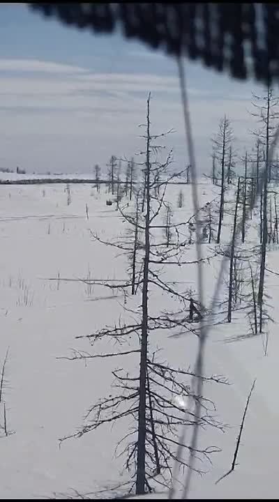 "����� � ���� �� ���" � �� �������� ����� ������ ��������� ������, ����������� �� "������ ��������"