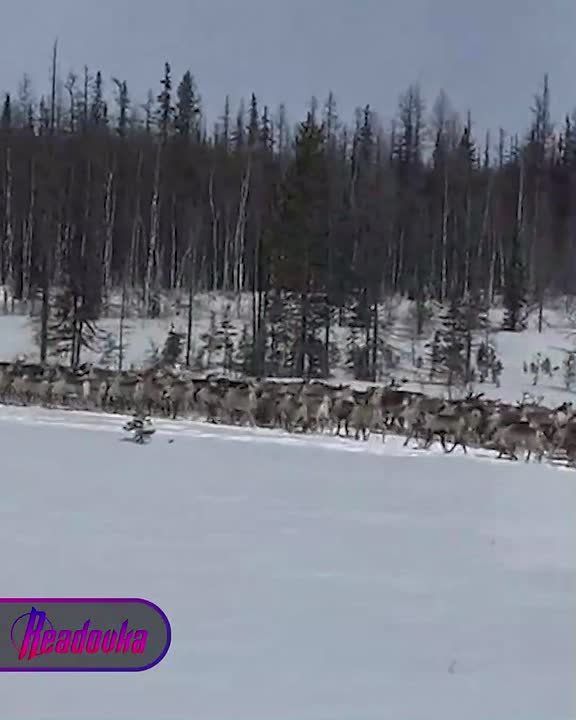 ��� ������ ����, ����� ��� ����������� � �������� ������ ������� ������ �� ��������