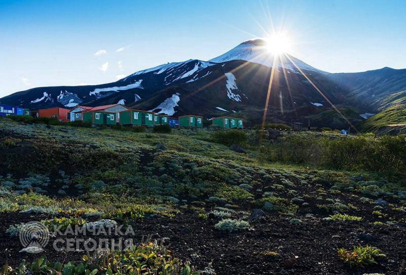 Северные олени Камчатки уходят в горы на зимние пастбища Северные олени Камчатки уходят в горы на зимние пастбища