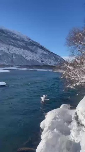 ДОБРО ПОЖАЛОВАТЬ НА КАМЧАТКУ