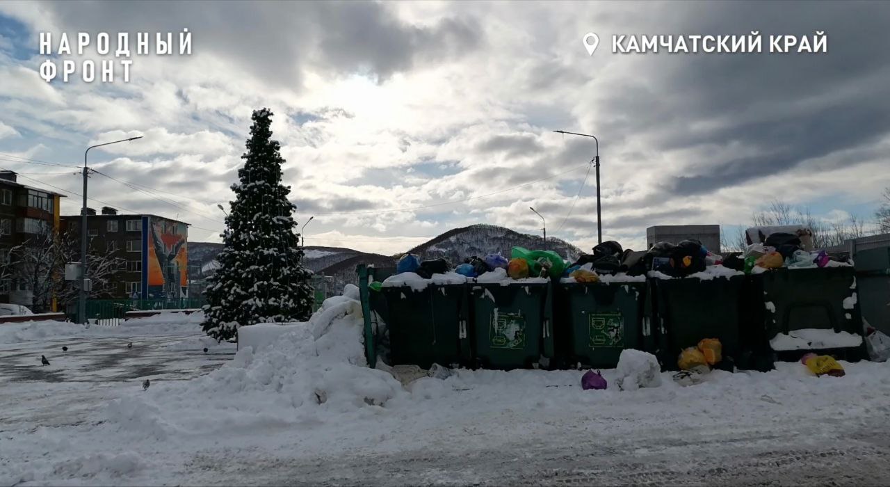 Елку установили рядом с переполненными мусорными баками Елку установили рядом с переполненными мусорными баками