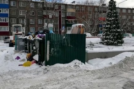 Елку установили рядом с переполненными мусорными баками