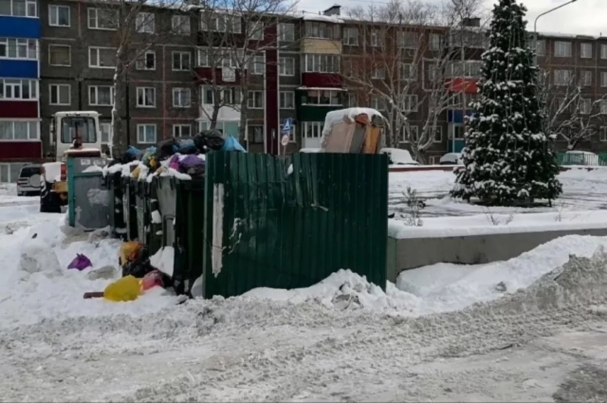 Елку установили рядом с переполненными мусорными баками